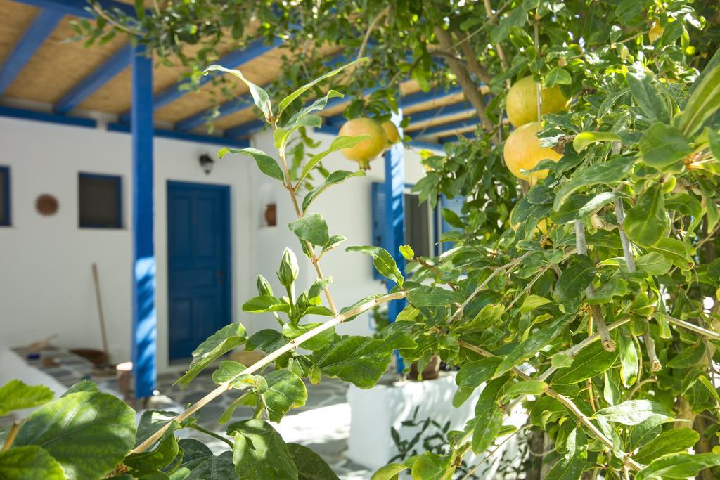George's beach studios Alikí Exterior foto